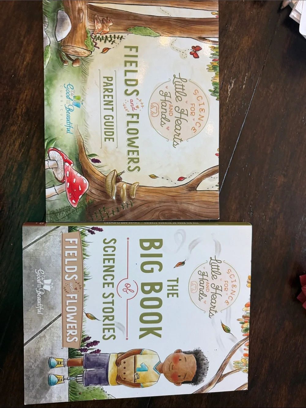 The Big Book of Science Stories - Fields & Flowers (Green, Brown)